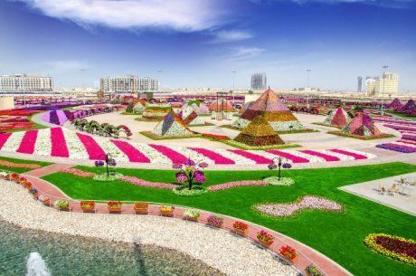 Парк цветов в Дубае (Dubai Miracle Garden)